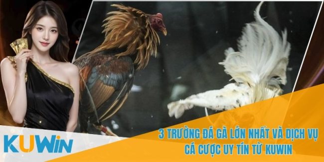 3 Truong da ga lon nhat 1