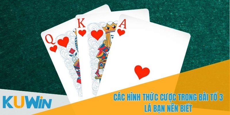 Bài tố 3 lá – Tìm Hiểu Cách Tính Điểm Và Quy Tắc Chơi 3 Người chơi có thể chọn cược tố hoặc không tố trong mỗi ván bài