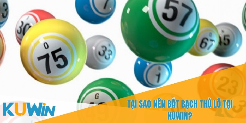 Bắt Bạch Thủ Lô tại Nhà Cái KUWIN – Bí Kíp Chốt Số Chuẩn Xác 3 Giao diện soi cầu tại KUWIN
