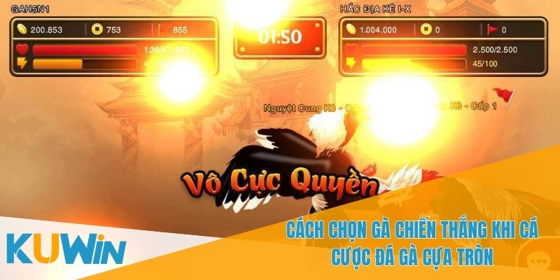 Đá Gà Cựa Tròn - Kinh Nghiệm Cá Cược Cho Người Mới Bắt Đầu 2 Mỗi trận đấu có hai con gà chiến tham gia thi đấu