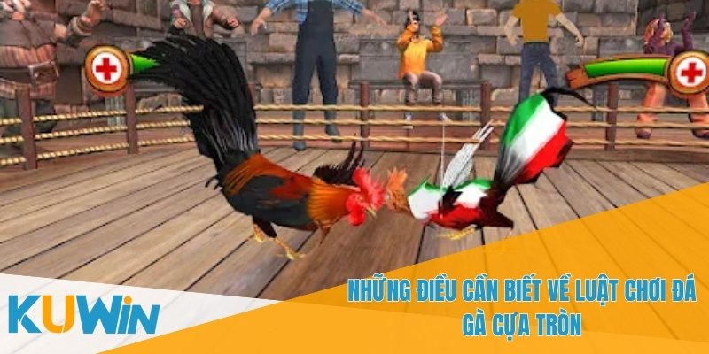 Đá Gà Cựa Tròn - Kinh Nghiệm Cá Cược Cho Người Mới Bắt Đầu 4 Mục tiêu của trận đấu là khiến đối thủ không thể tiếp tục thi đấu
