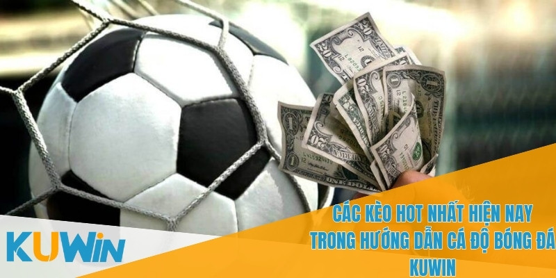 Hướng dẫn cá độ bóng đá KUWIN - Cách Tham Gia Chi Tiết 2 Đọc Hướng dẫn cá độ bóng đá KUWIN để biết cách quản lý ngân sách
