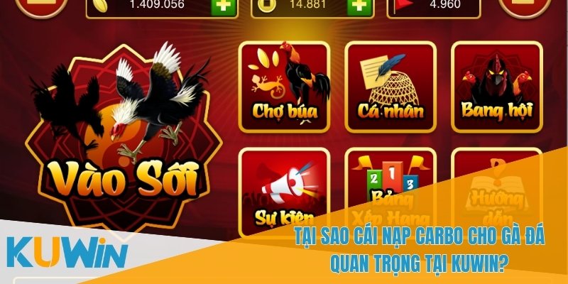 Cái Nạp Carbo Cho Gà Đá - Giải Pháp Cho Trận Đấu Kéo Dài 1 Cái nạp carbo cho gà đá giúp duy trì sức bền