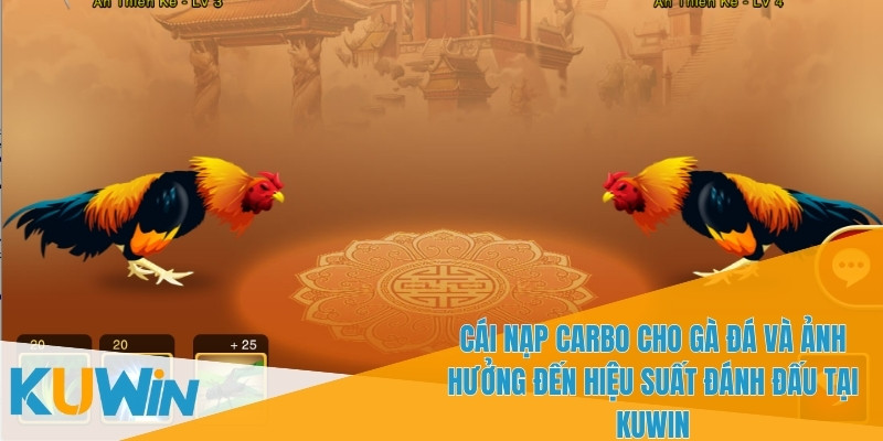 Cái Nạp Carbo Cho Gà Đá - Giải Pháp Cho Trận Đấu Kéo Dài 2 Cái nạp carbo cho gà đá giúp ra đòn mạnh mẽ