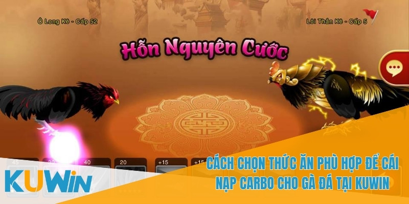 Cái Nạp Carbo Cho Gà Đá - Giải Pháp Cho Trận Đấu Kéo Dài 3 Điều chỉnh cái nạp carbo cho gà đá hợp lý