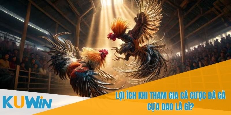 Đá Gà Cựa Dao Là Gì? Tìm Hiểu Trò Chơi Cá Cược Cực Kỳ Hấp Dẫn 1 Đá gà cựa dao là gì? Đây là trò chơi cá cược phổ biến và đầy kịch tính
