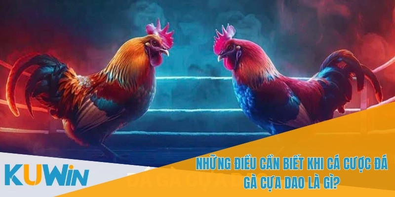 Đá Gà Cựa Dao Là Gì? Tìm Hiểu Trò Chơi Cá Cược Cực Kỳ Hấp Dẫn 3 Cần nghiên cứu kỹ các chiến kê trước khi đặt cược