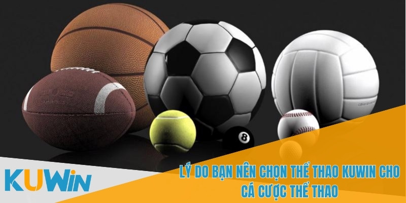 Thể thao KUWIN cung cấp các loại kèo đa dạng