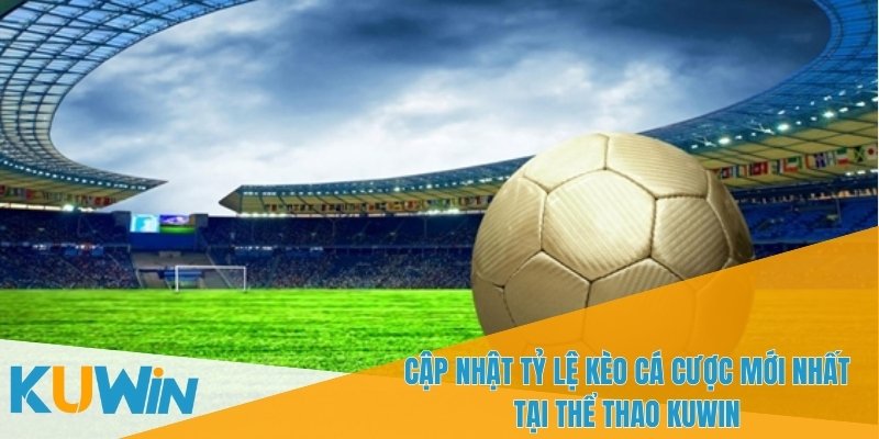 Thể thao KUWIN cung cấp dịch vụ khách hàng 24/7